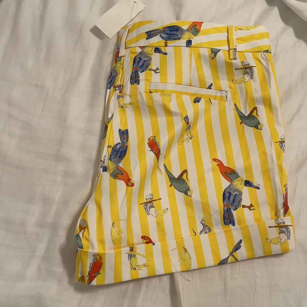 Shorts - Picture 3 of 4